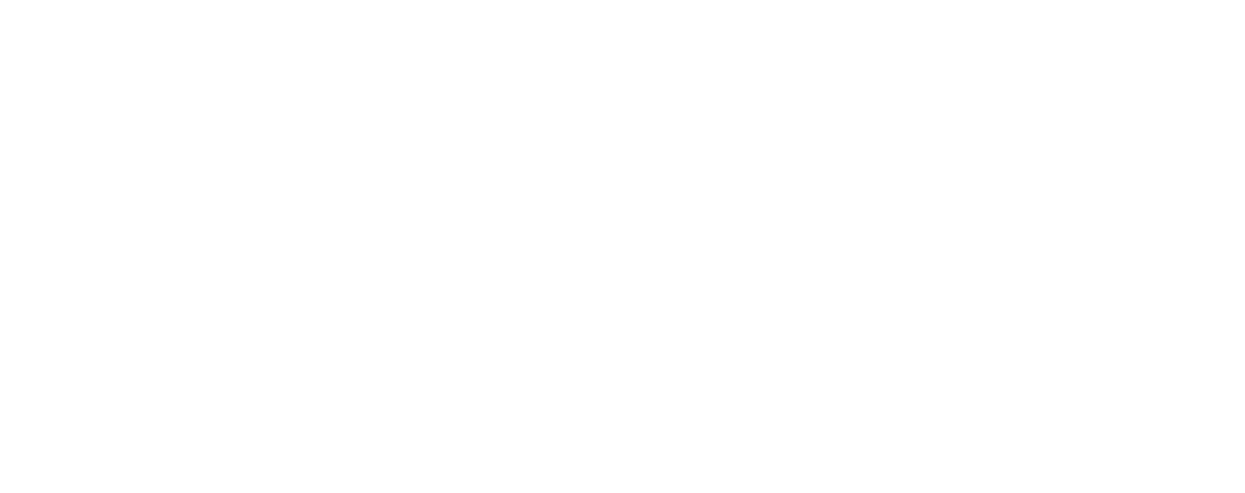 the 22 – white logo 2